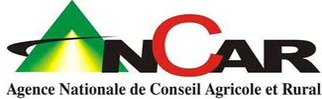 ANCAR logo
